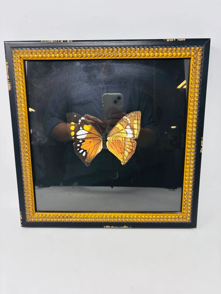 Butterfly in Distressed Frame 14 X 14