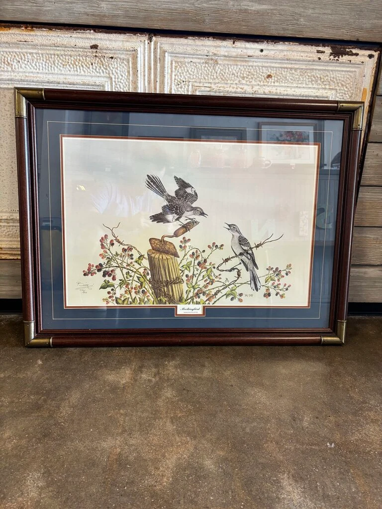 Framed Mockingbird Print 36.5 X 27.5