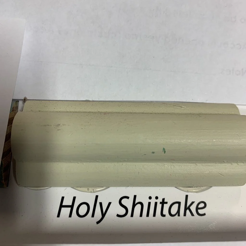 HOLY SHIITAKE Sampler - Image 3